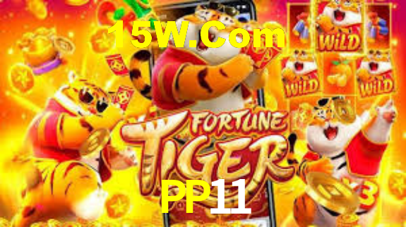 PP11