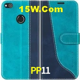 Segurança 2FA PP11