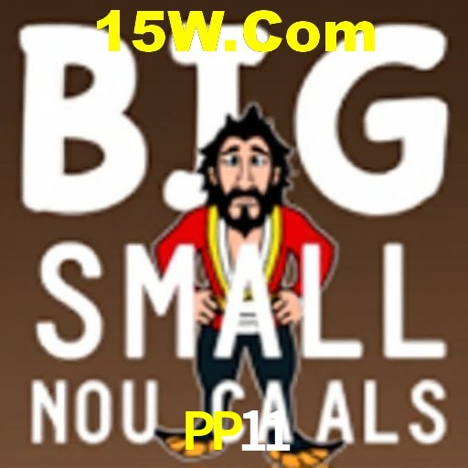 PP11 Salvador - Strategies