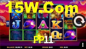 PP11,PP11 App