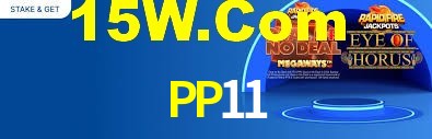 PP11 Login