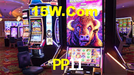 PP11